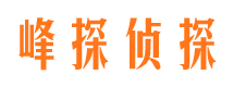 玉溪找人公司